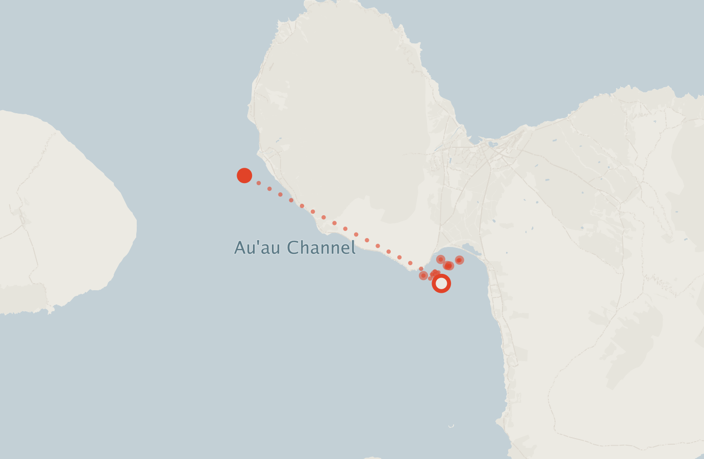 Activity map — real sighting points on an OpenStreetMap basemap