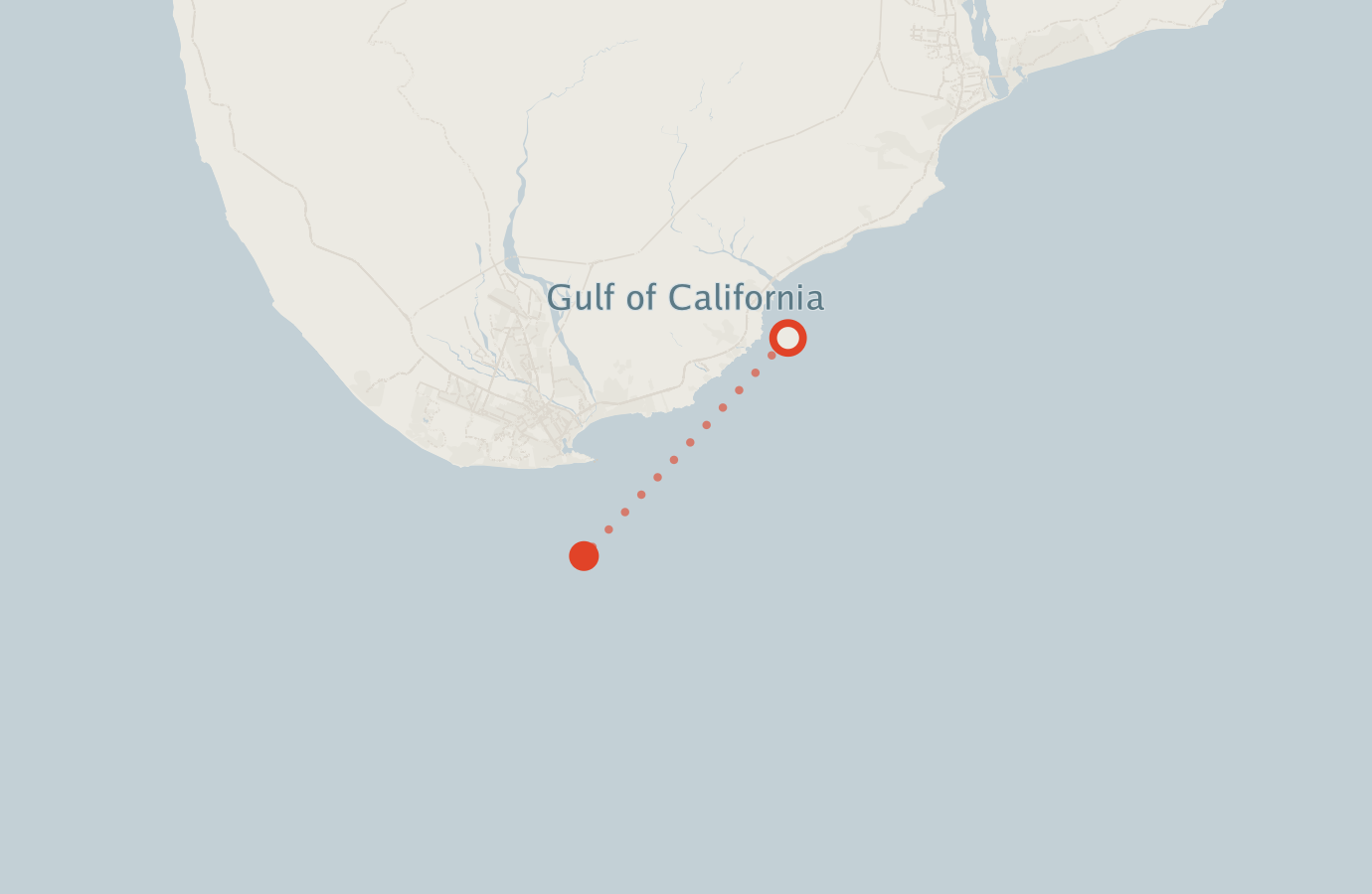 Activity map — real sighting points on an OpenStreetMap basemap