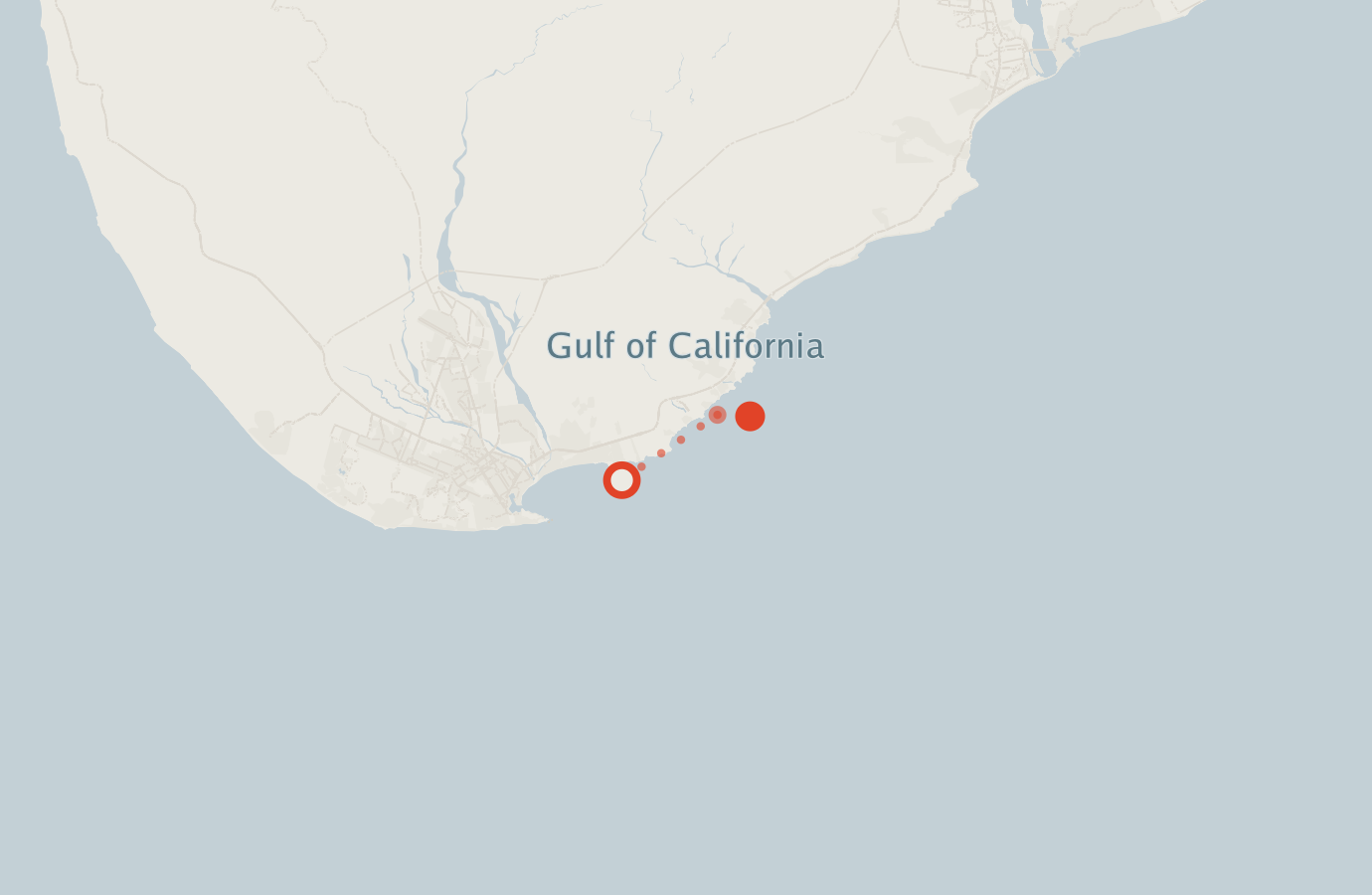 Activity map — real sighting points on an OpenStreetMap basemap