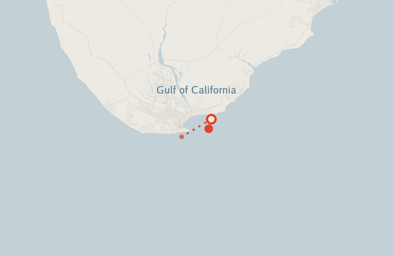 Activity map — real sighting points on an OpenStreetMap basemap