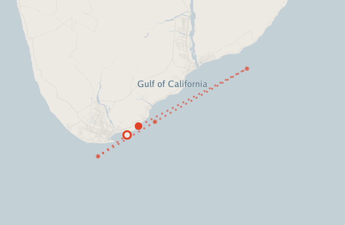 Activity map — real sighting points on an OpenStreetMap basemap