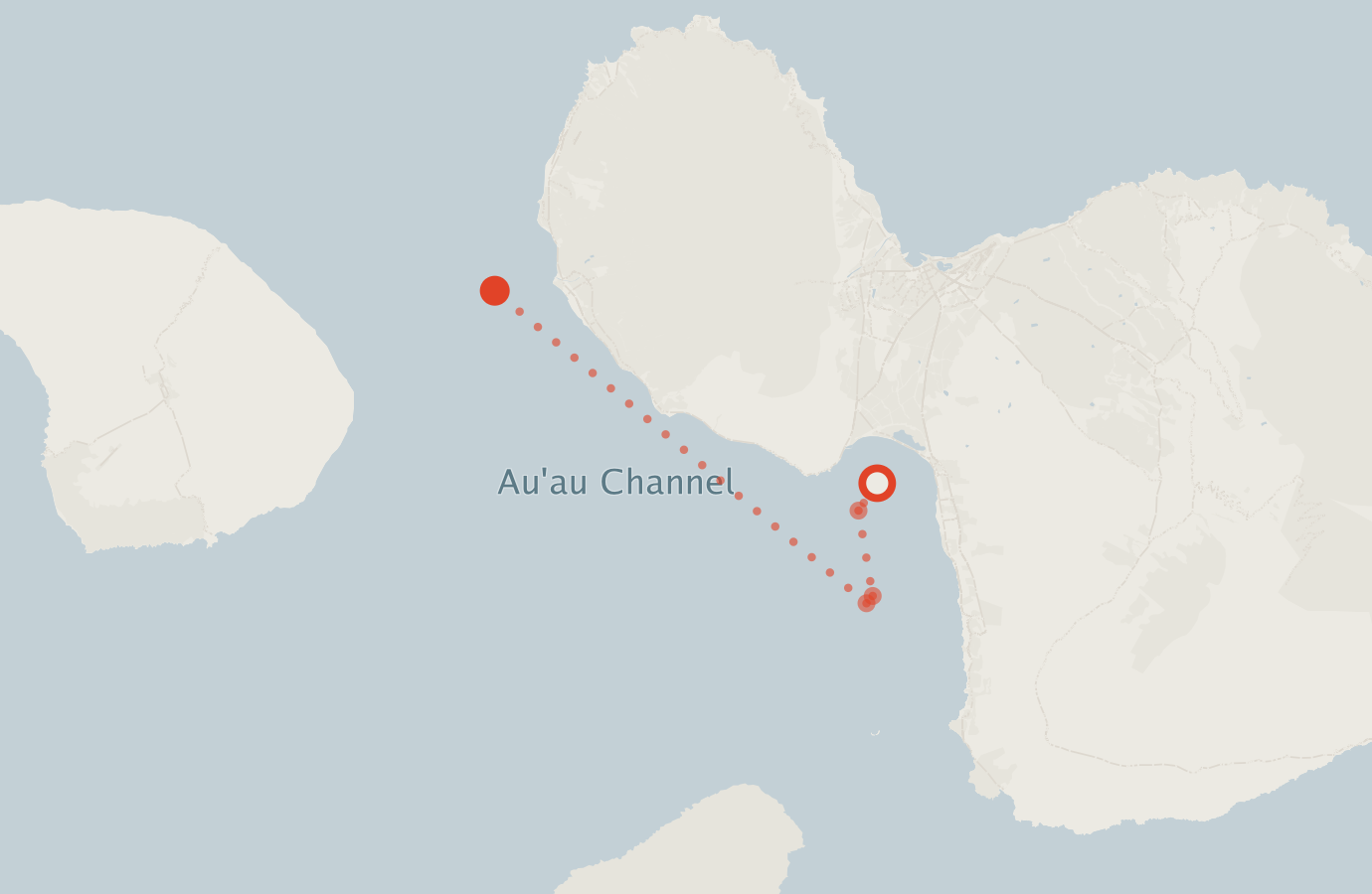 Activity map — real sighting points on an OpenStreetMap basemap