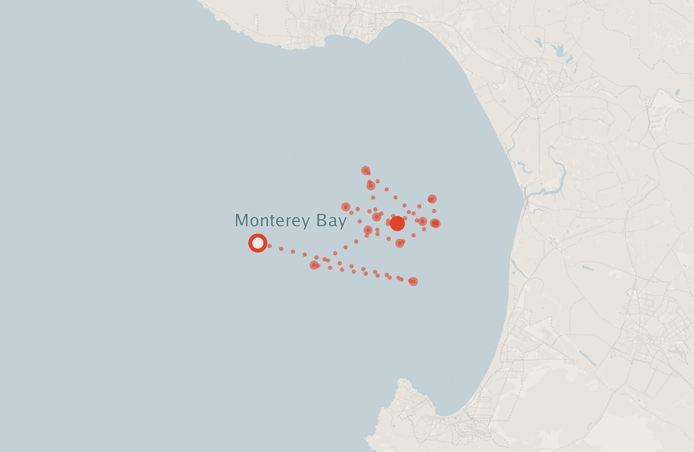 Activity map — real sighting points on an OpenStreetMap basemap