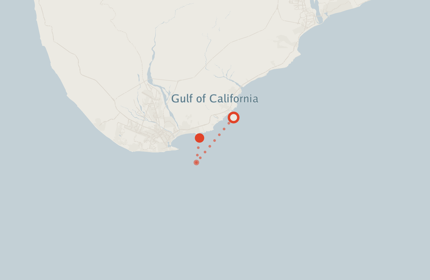 Activity map — real sighting points on an OpenStreetMap basemap