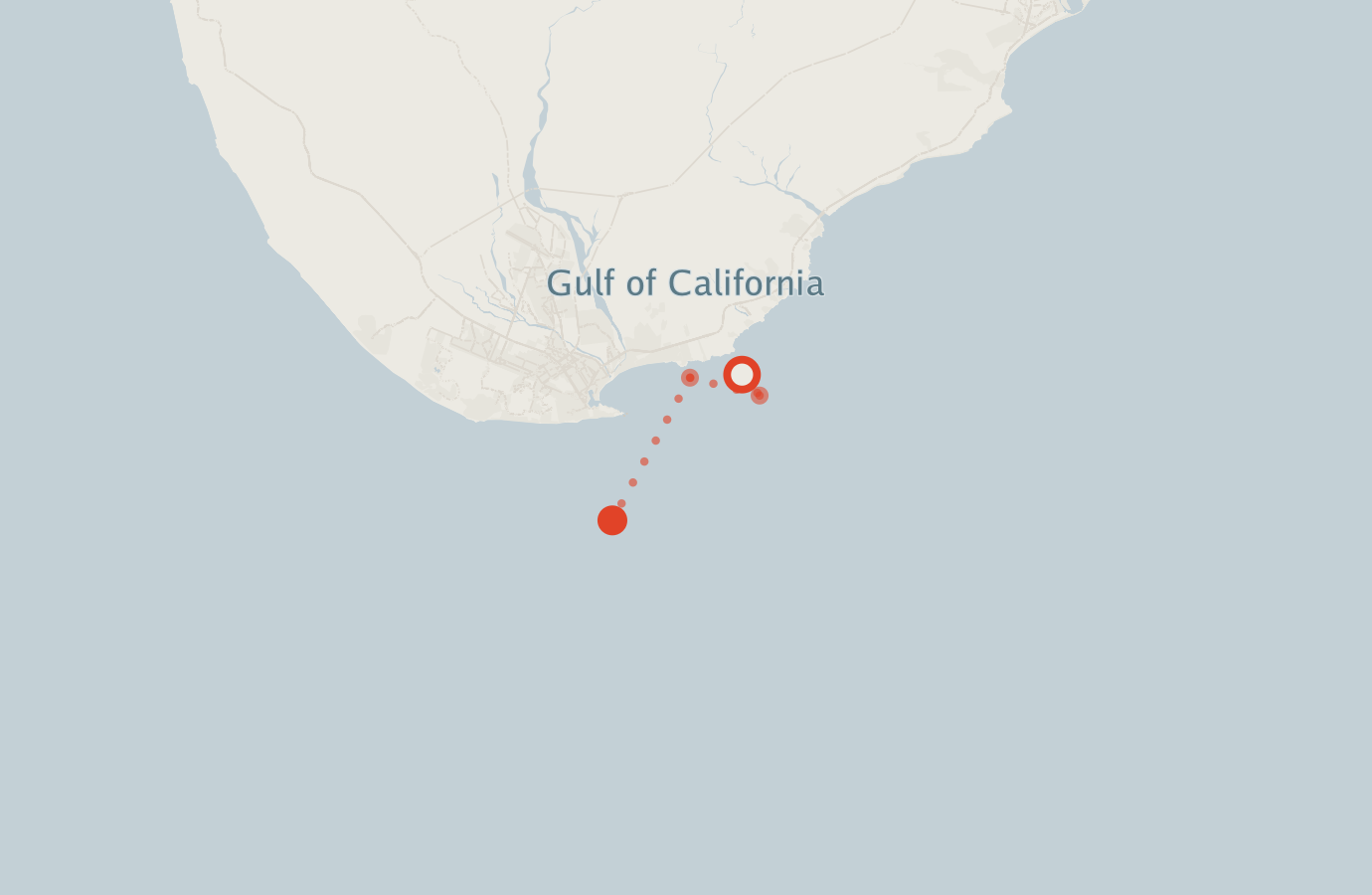 Activity map — real sighting points on an OpenStreetMap basemap