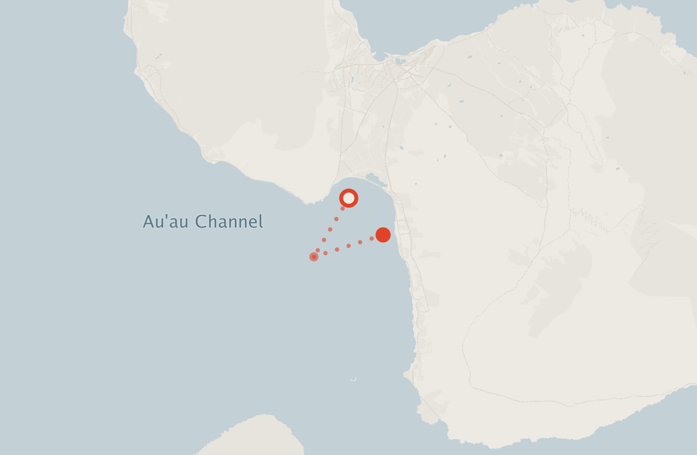 Activity map — real sighting points on an OpenStreetMap basemap