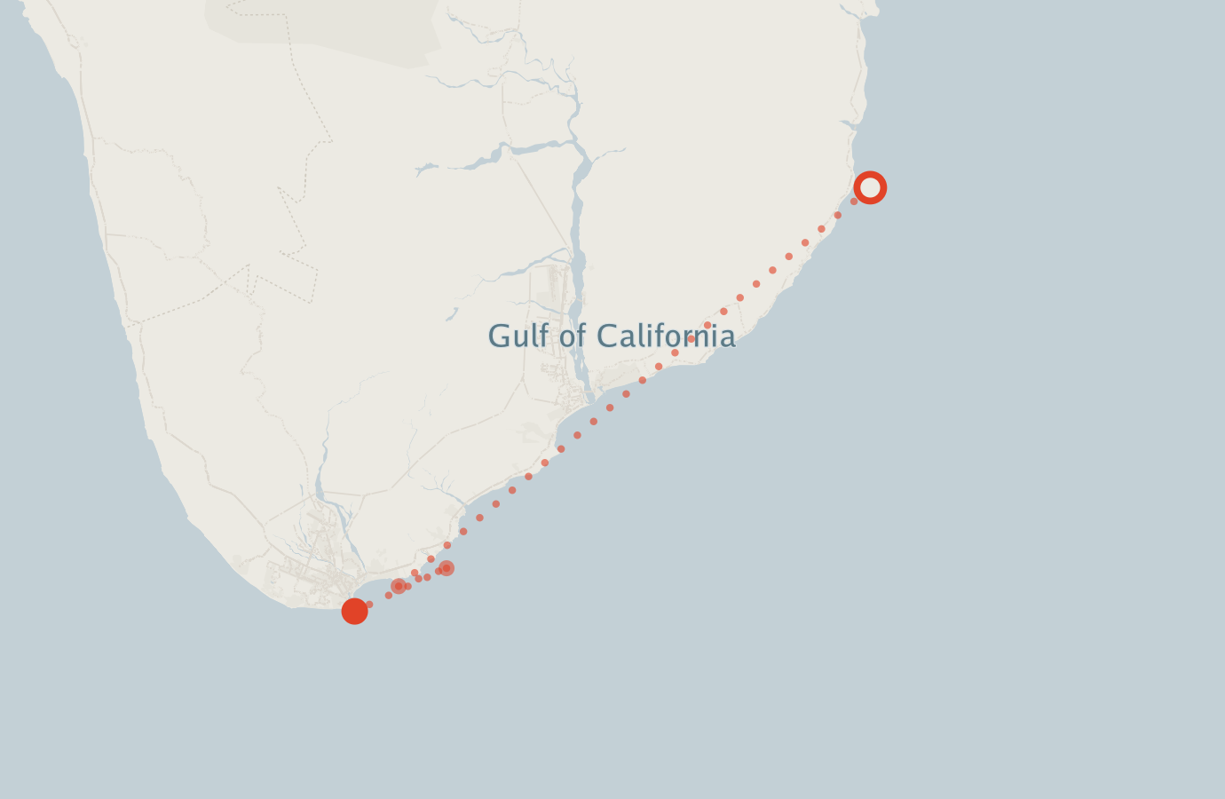 Activity map — real sighting points on an OpenStreetMap basemap