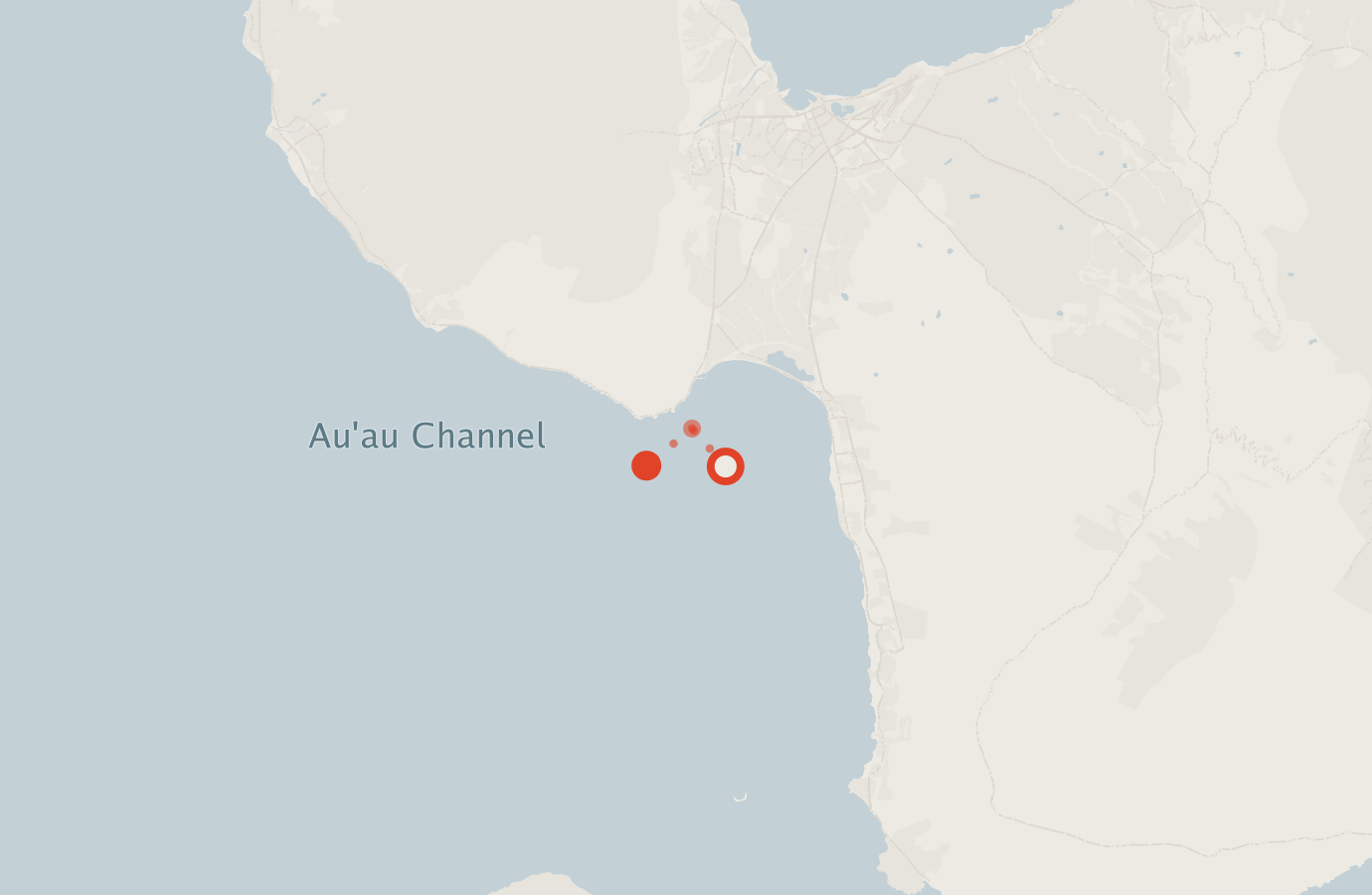 Activity map — real sighting points on an OpenStreetMap basemap