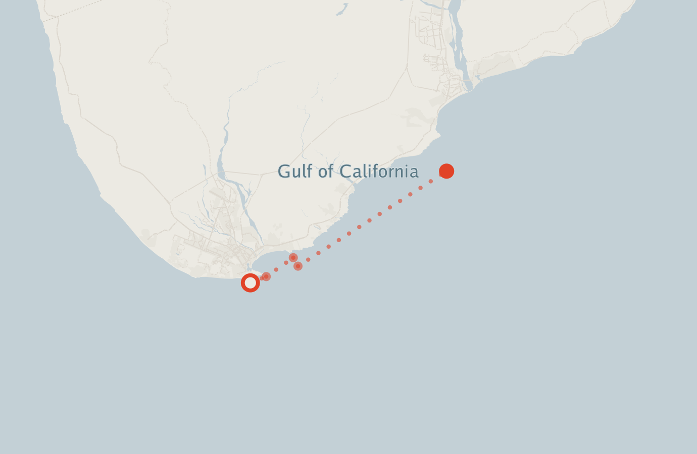 Activity map — real sighting points on an OpenStreetMap basemap