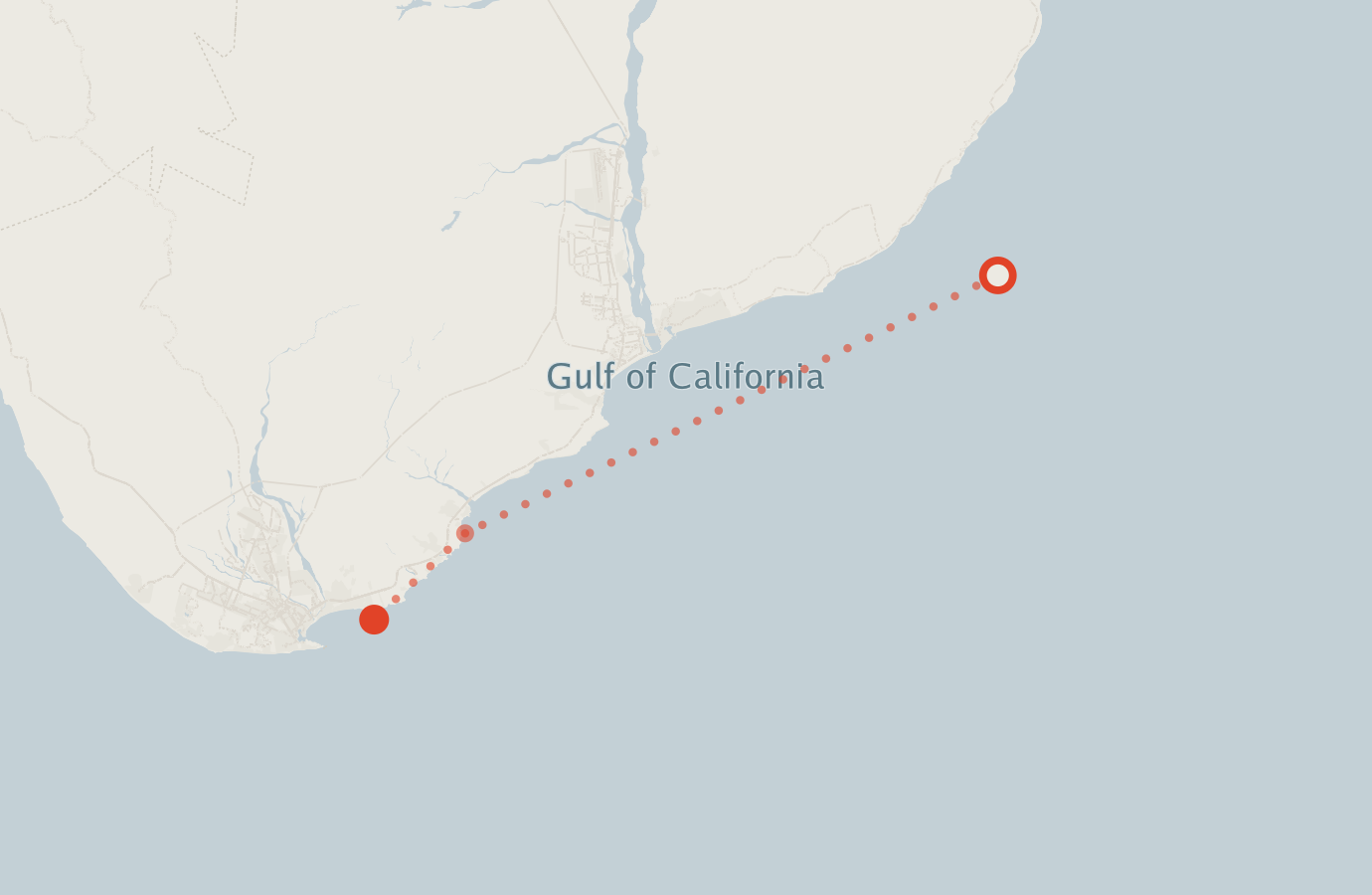Activity map — real sighting points on an OpenStreetMap basemap