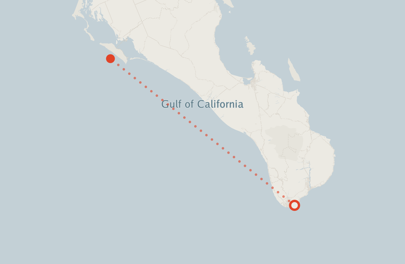 Activity map — real sighting points on an OpenStreetMap basemap