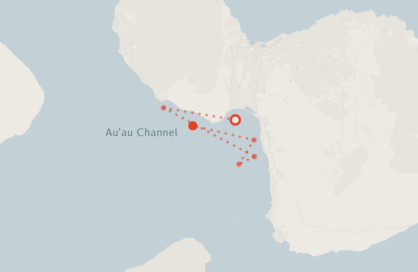 Activity map — real sighting points on an OpenStreetMap basemap