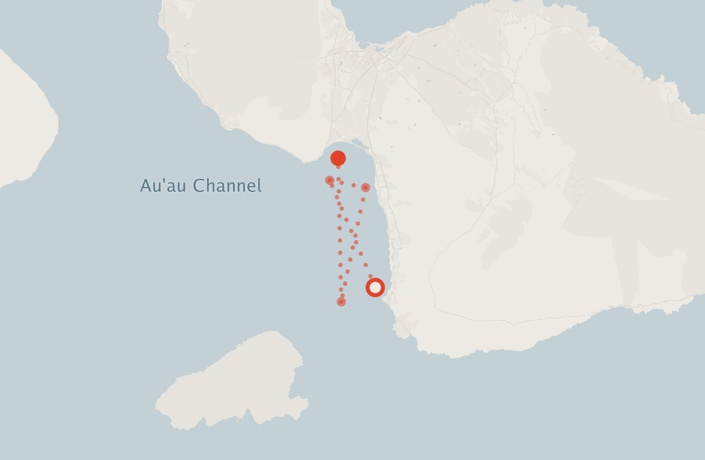 Activity map — real sighting points on an OpenStreetMap basemap