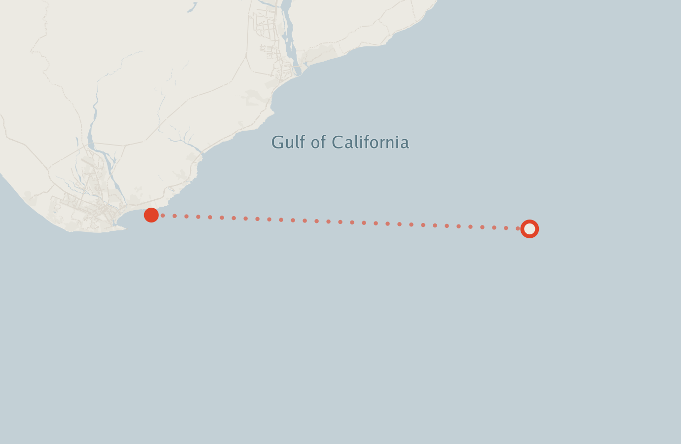 Activity map — real sighting points on an OpenStreetMap basemap