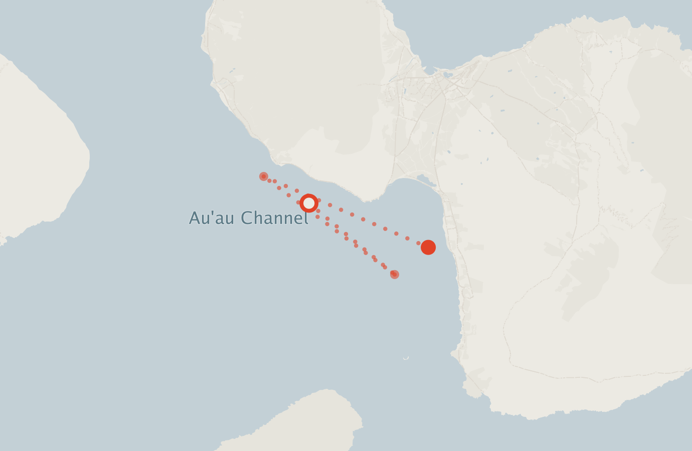 Activity map — real sighting points on an OpenStreetMap basemap