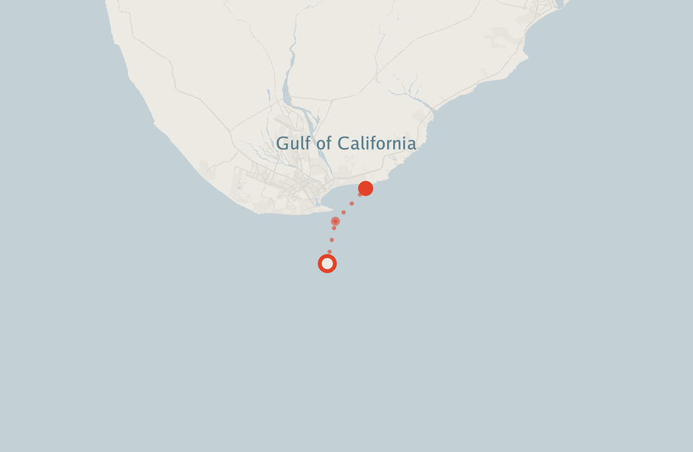 Activity map — real sighting points on an OpenStreetMap basemap