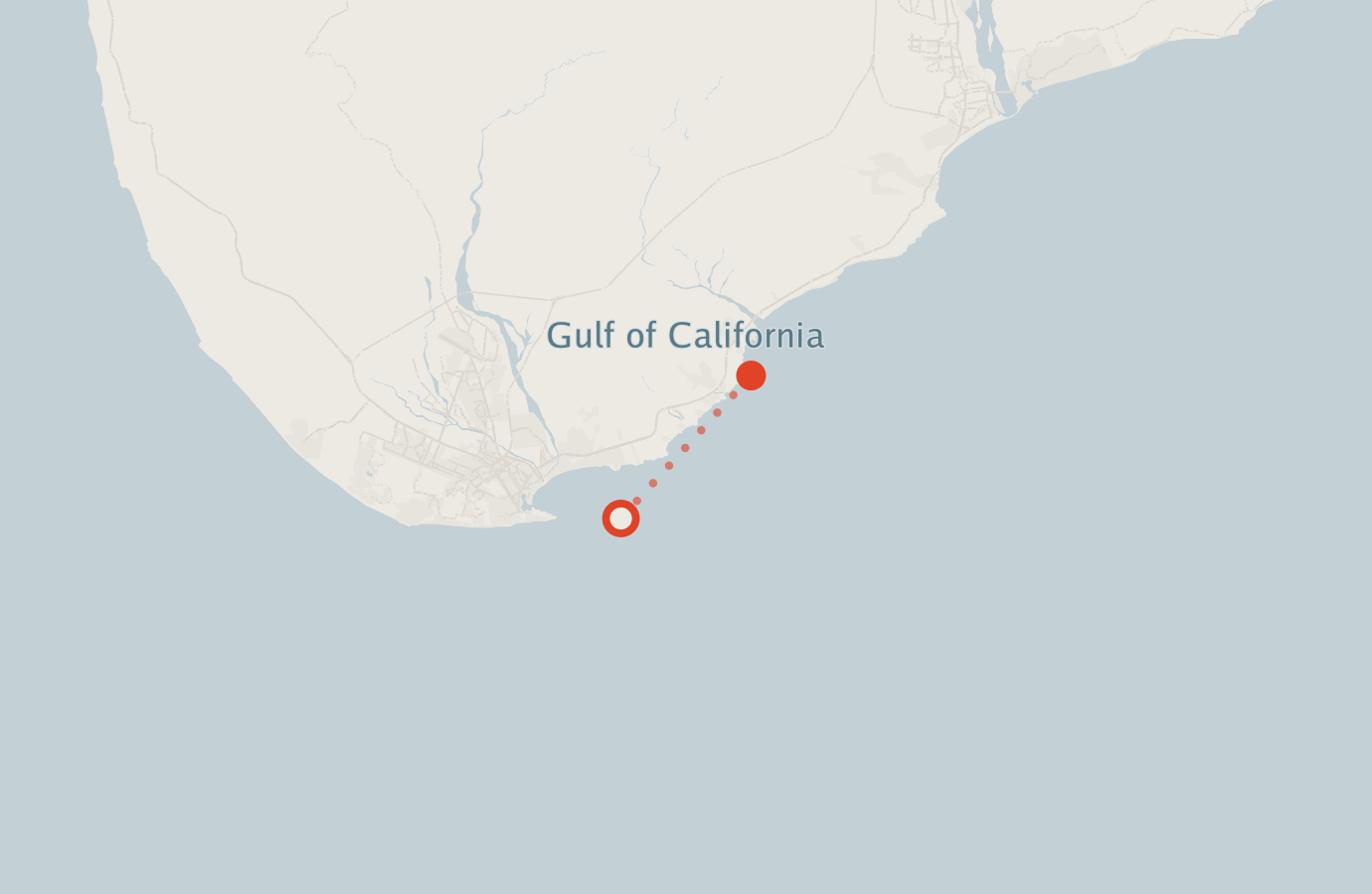 Activity map — real sighting points on an OpenStreetMap basemap