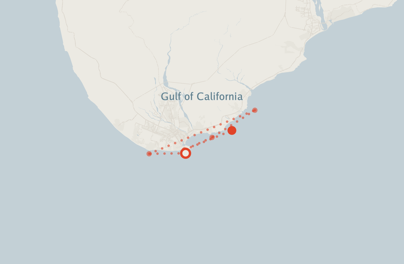 Activity map — real sighting points on an OpenStreetMap basemap