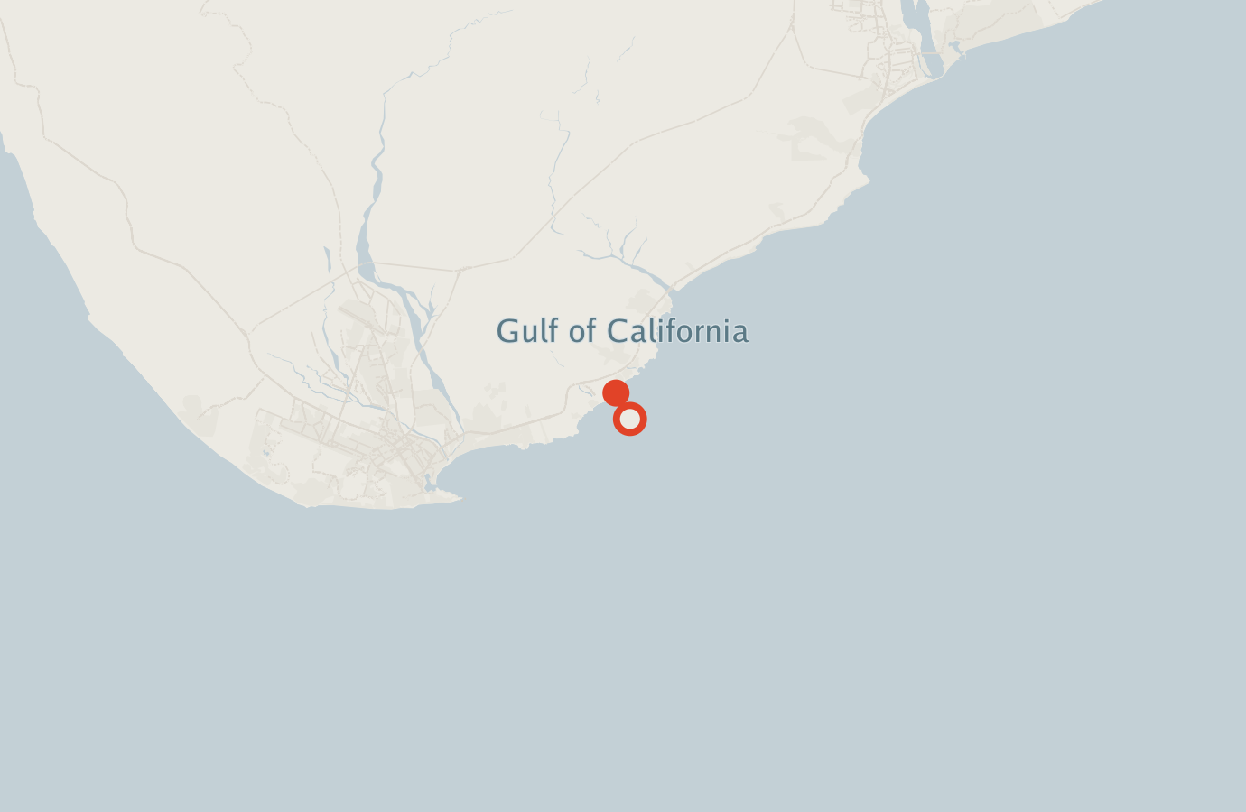 Activity map — real sighting points on an OpenStreetMap basemap