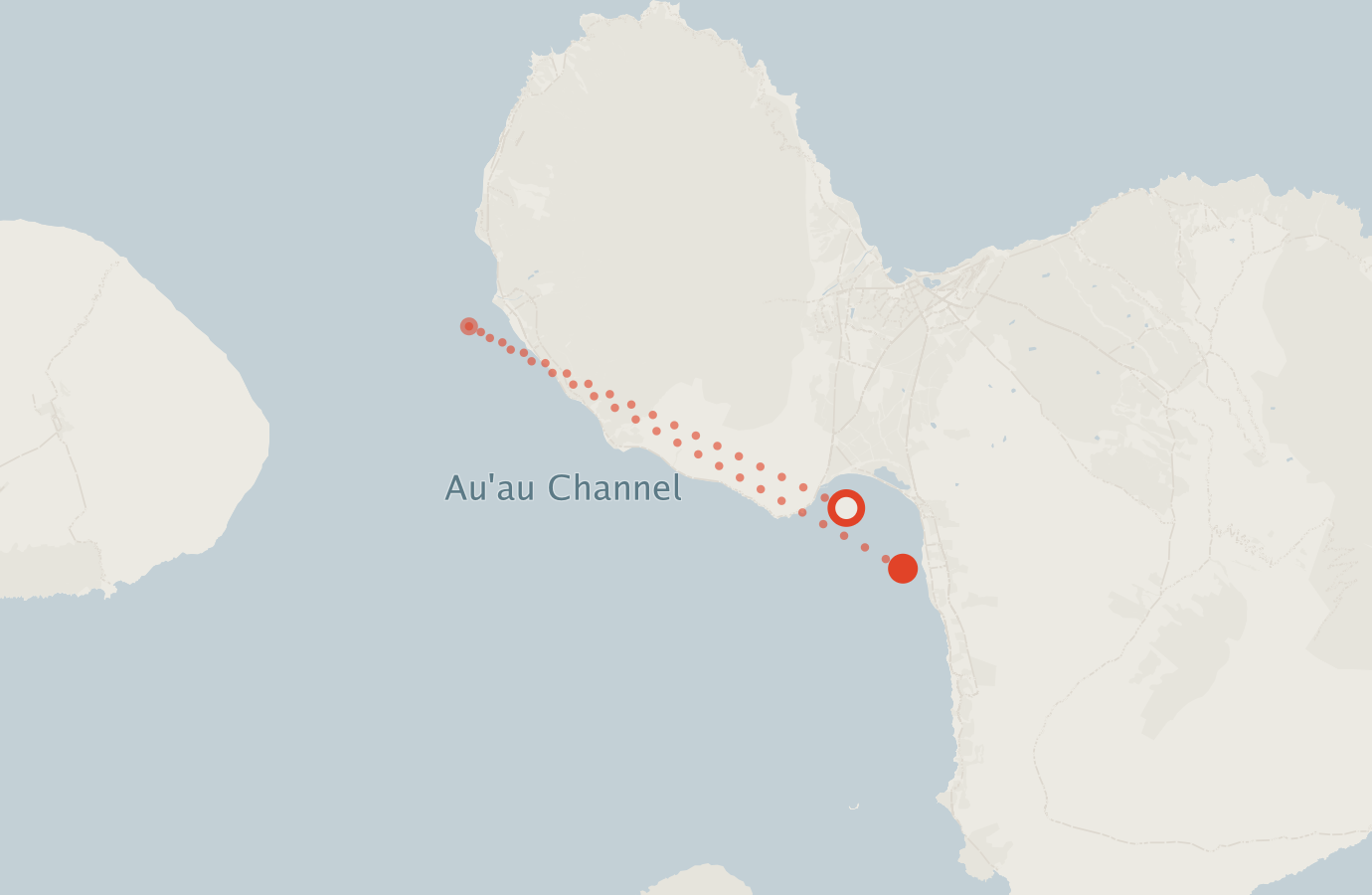 Activity map — real sighting points on an OpenStreetMap basemap