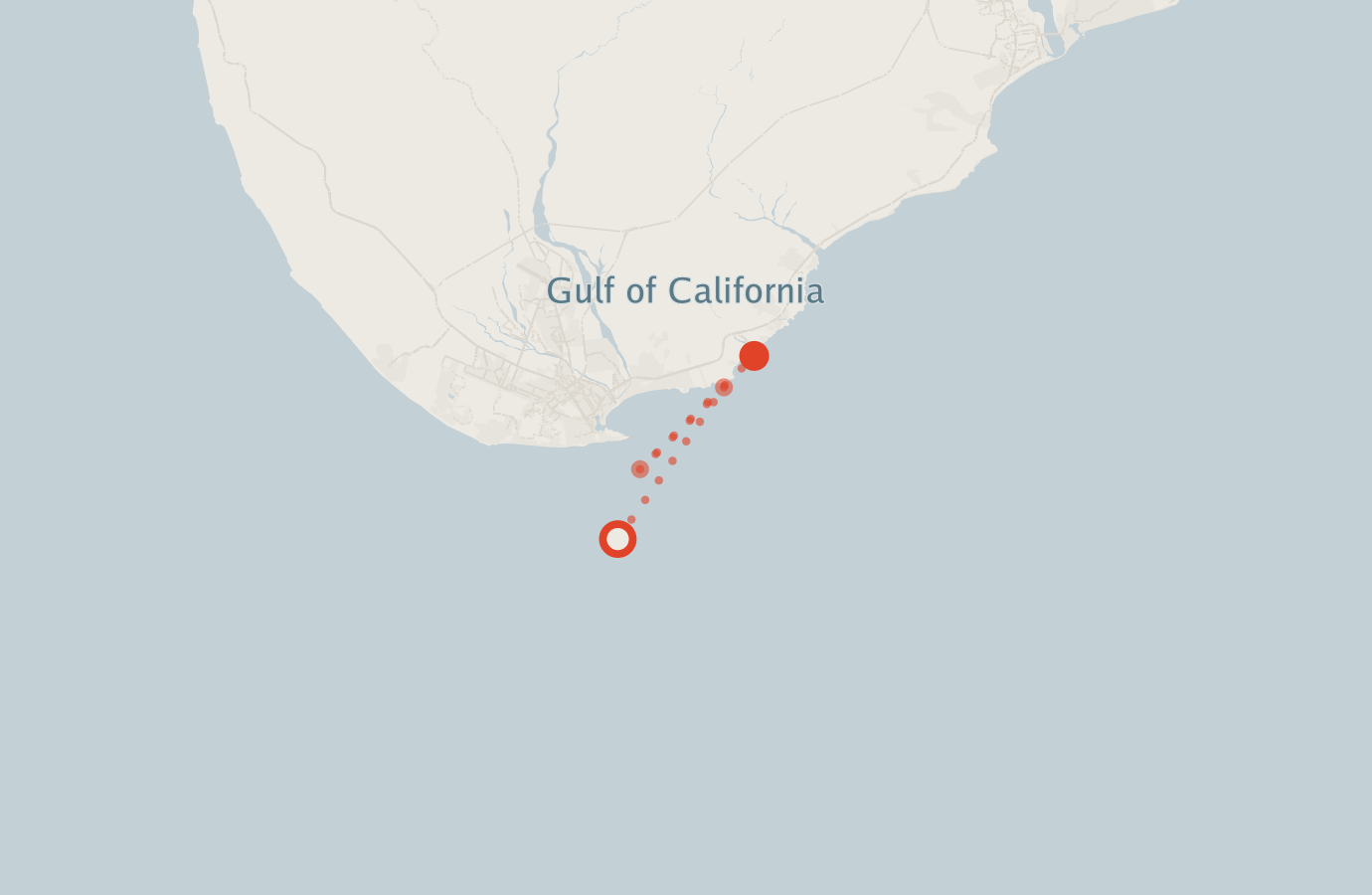 Activity map — real sighting points on an OpenStreetMap basemap