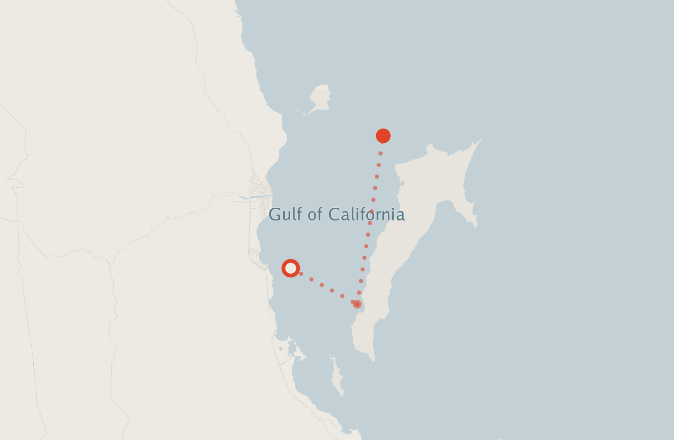 Activity map — real sighting points on an OpenStreetMap basemap