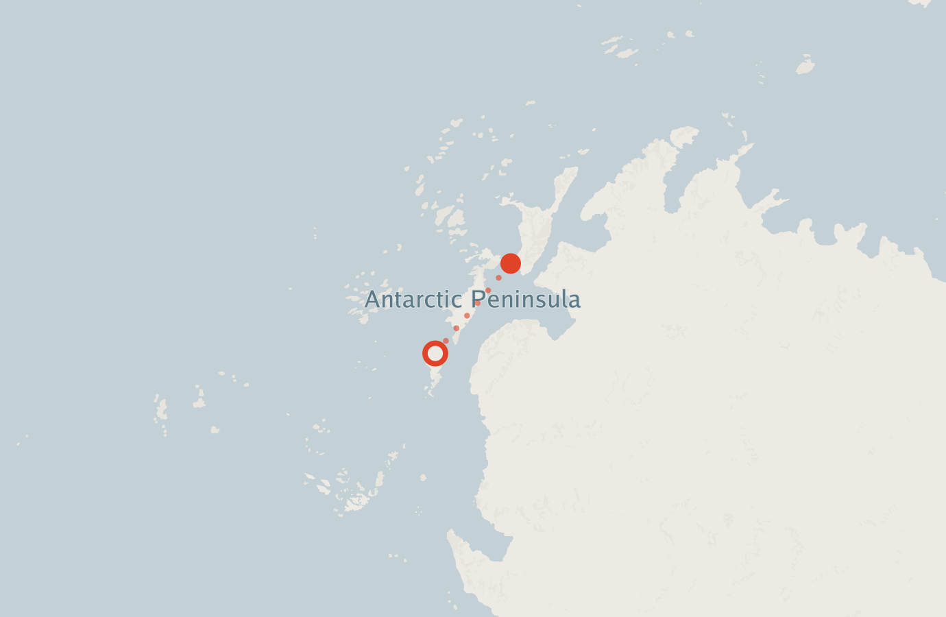 Activity map — real sighting points on an OpenStreetMap basemap