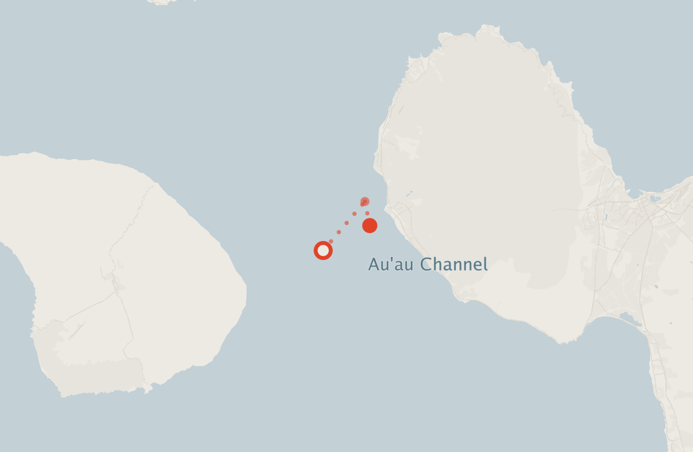Activity map — real sighting points on an OpenStreetMap basemap