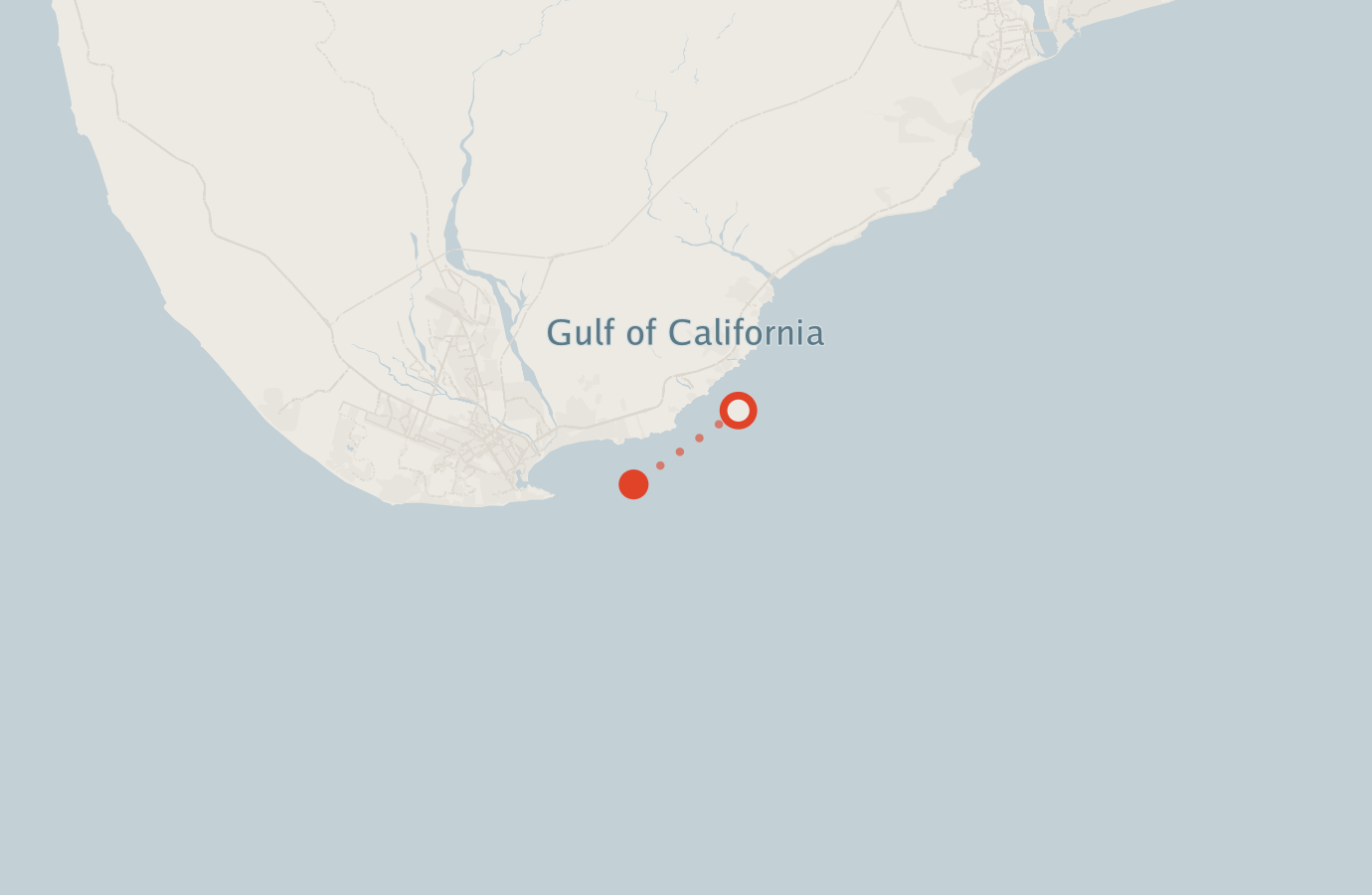 Activity map — real sighting points on an OpenStreetMap basemap