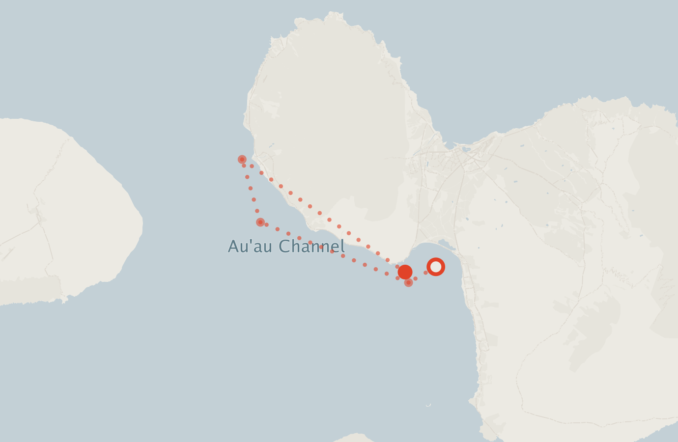 Activity map — real sighting points on an OpenStreetMap basemap