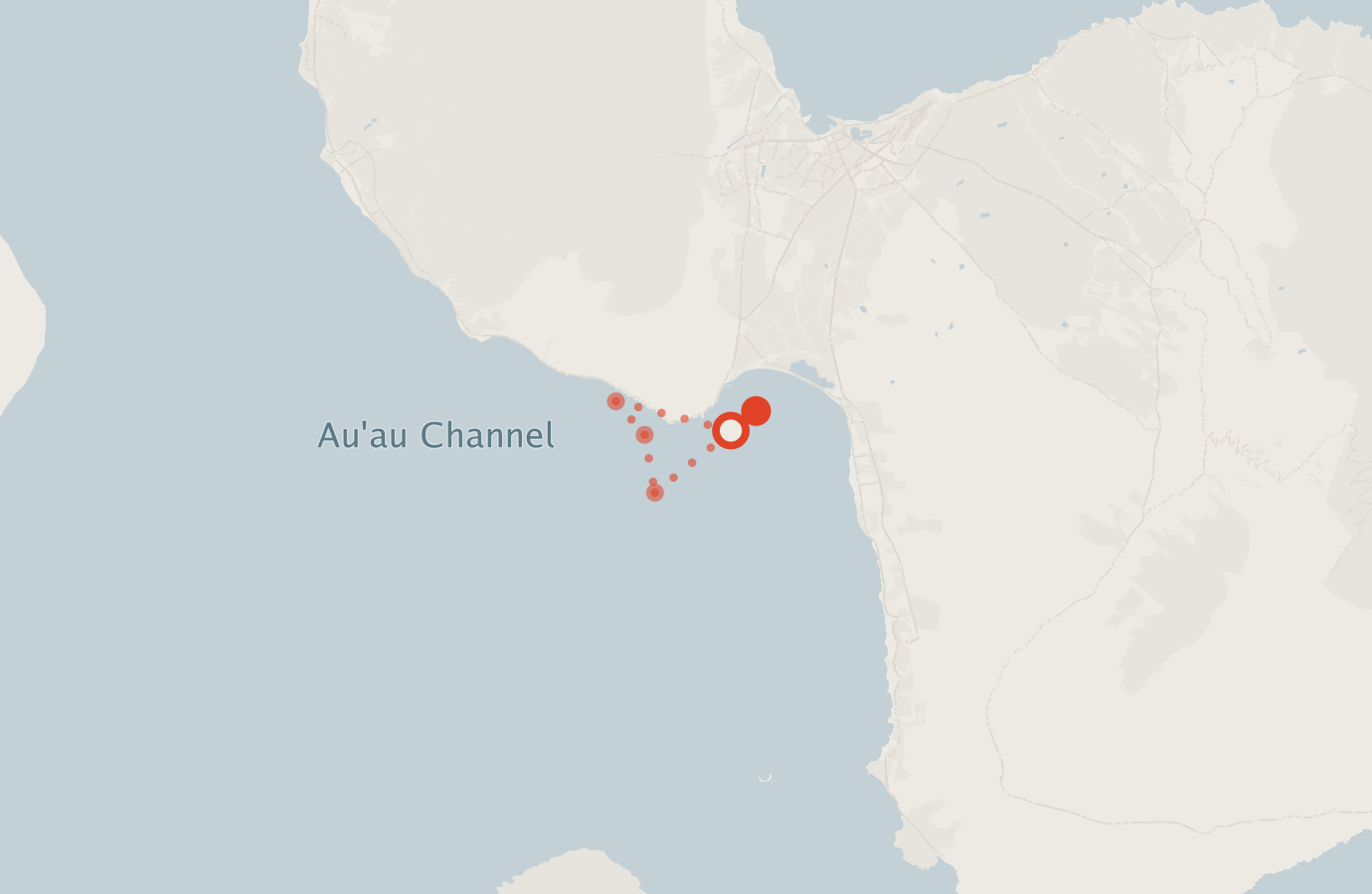 Activity map — real sighting points on an OpenStreetMap basemap