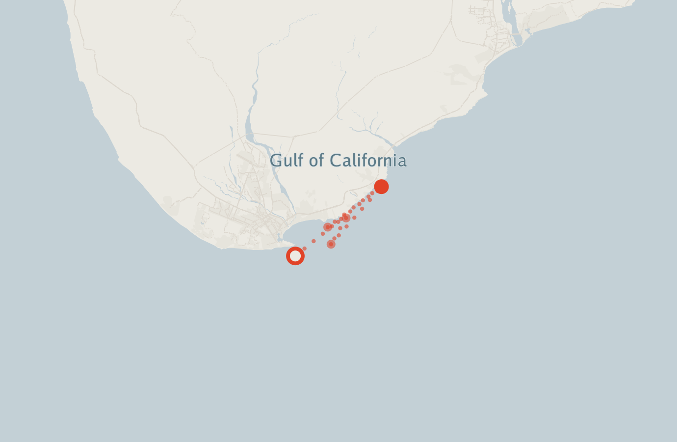 Activity map — real sighting points on an OpenStreetMap basemap