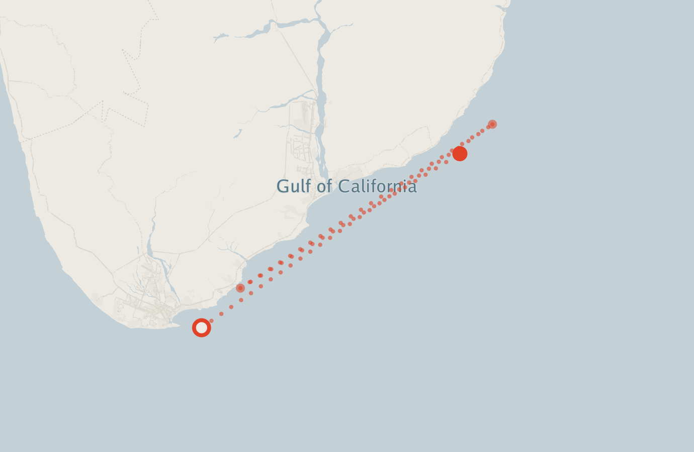 Activity map — real sighting points on an OpenStreetMap basemap