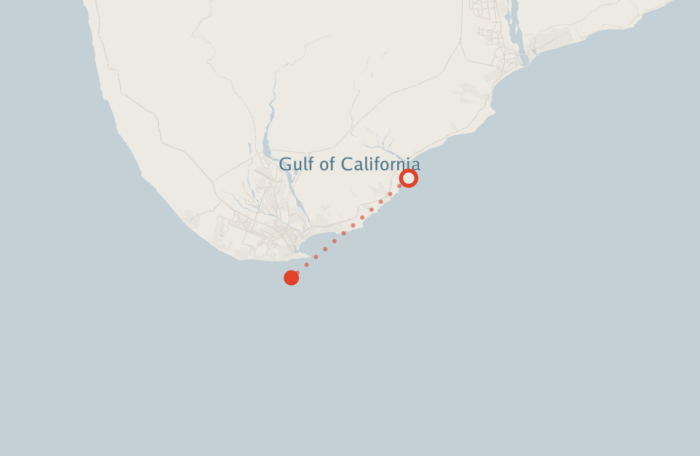 Activity map — real sighting points on an OpenStreetMap basemap