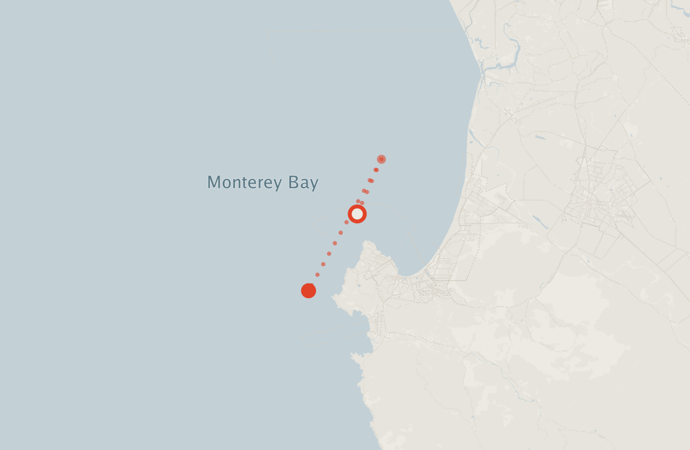 Activity map — real sighting points on an OpenStreetMap basemap