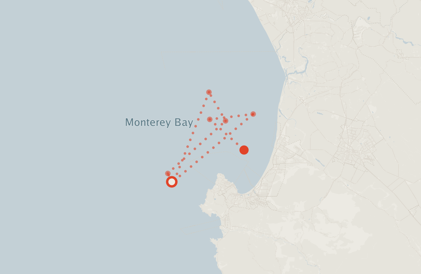 Activity map — real sighting points on an OpenStreetMap basemap