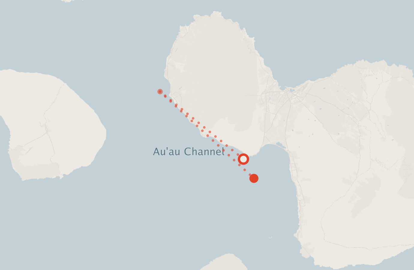 Activity map — real sighting points on an OpenStreetMap basemap