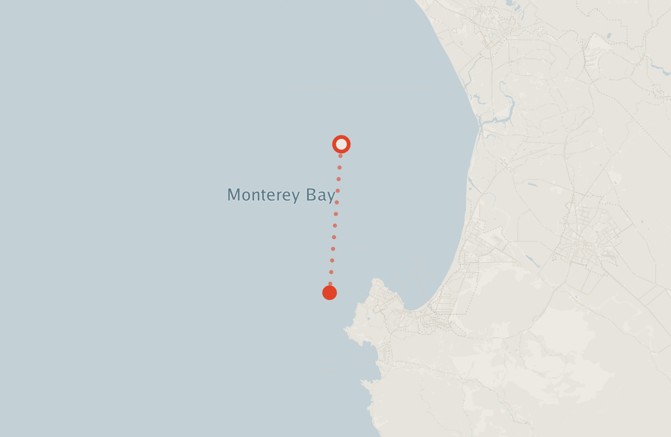 Activity map — real sighting points on an OpenStreetMap basemap
