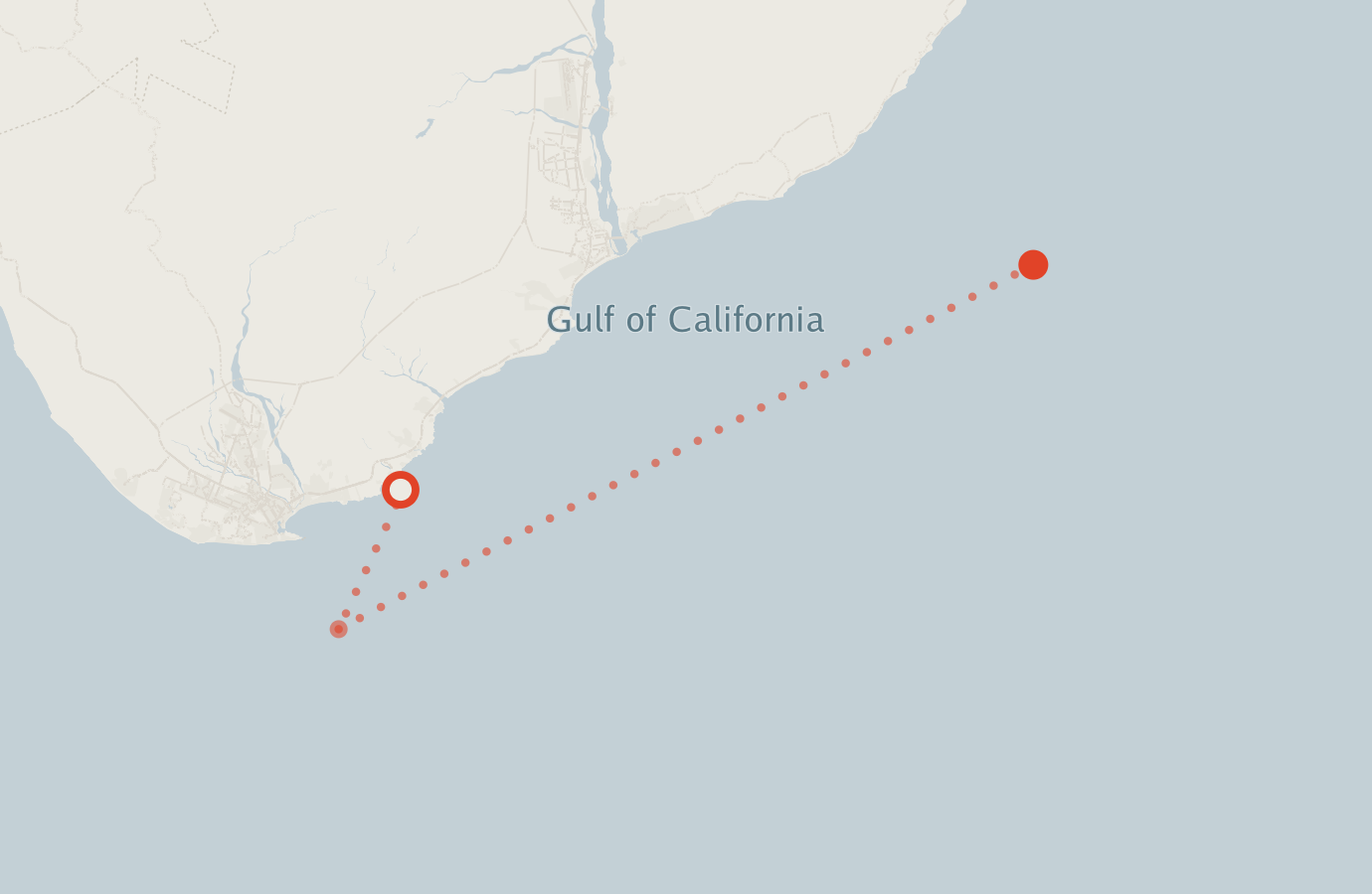 Activity map — real sighting points on an OpenStreetMap basemap