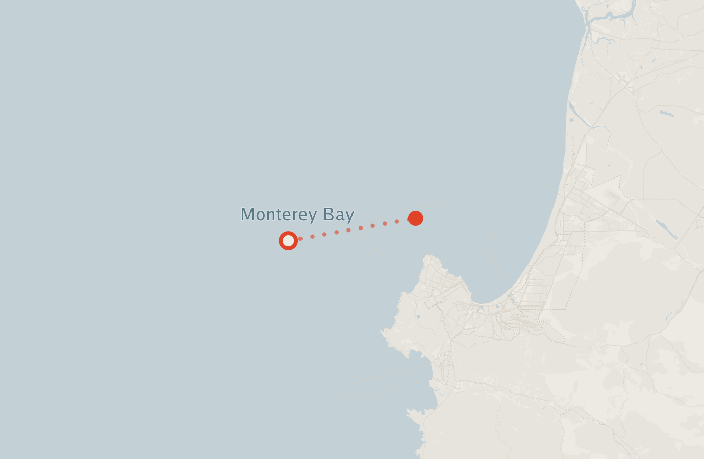 Activity map — real sighting points on an OpenStreetMap basemap