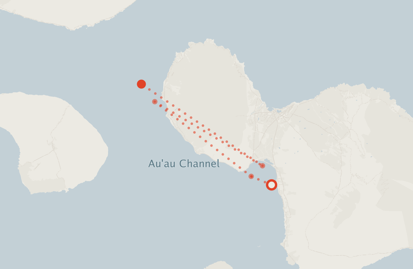 Activity map — real sighting points on an OpenStreetMap basemap