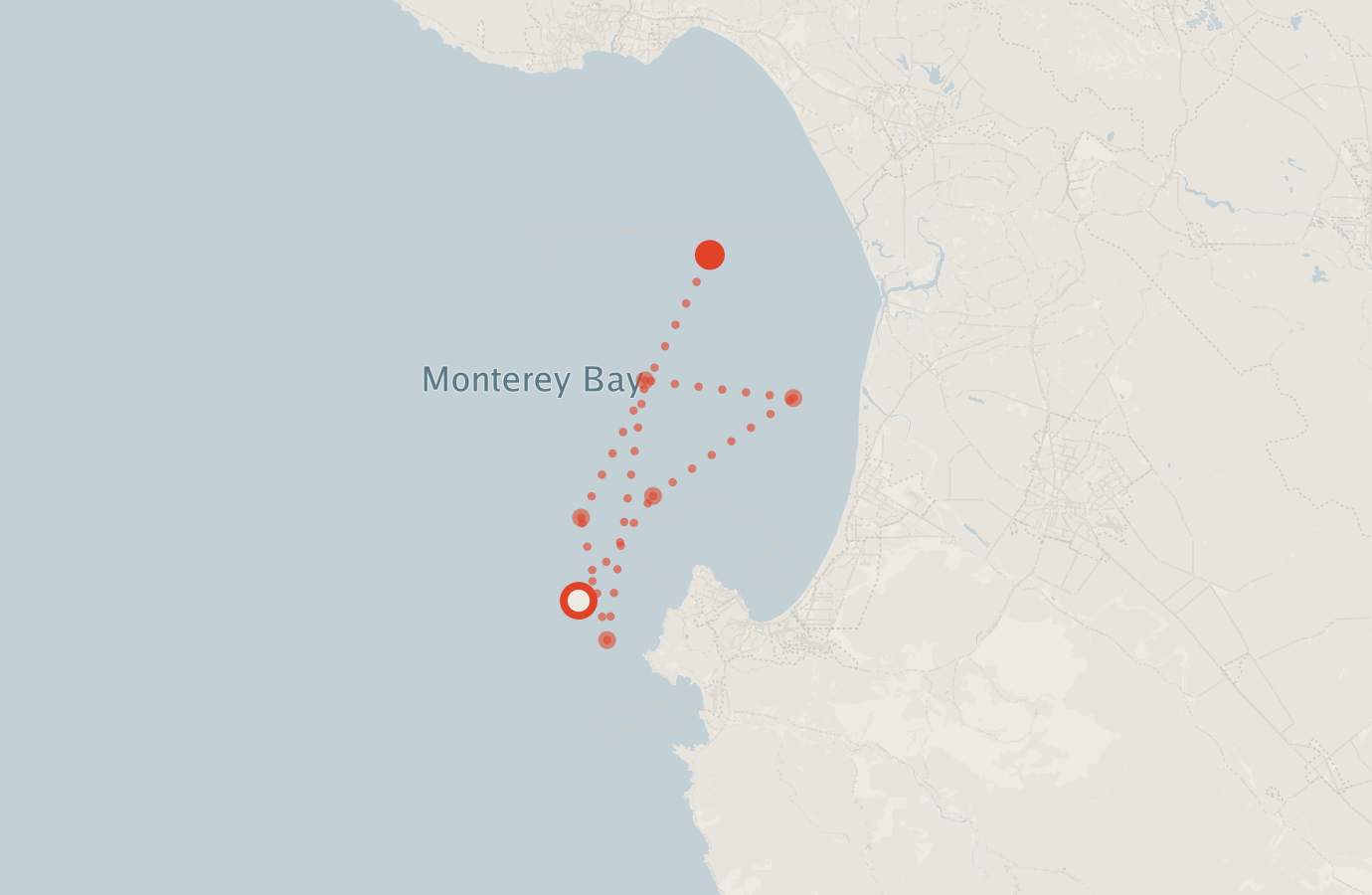 Activity map — real sighting points on an OpenStreetMap basemap
