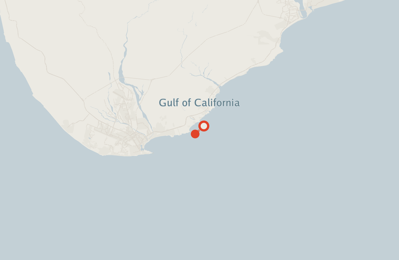 Activity map — real sighting points on an OpenStreetMap basemap