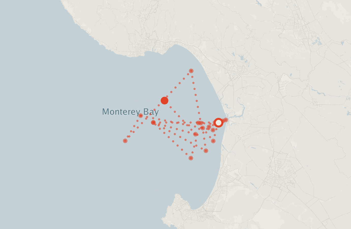 Activity map — real sighting points on an OpenStreetMap basemap