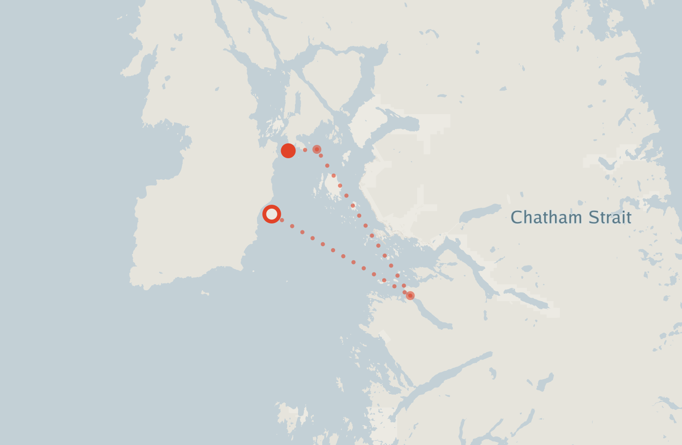 Activity map — real sighting points on an OpenStreetMap basemap