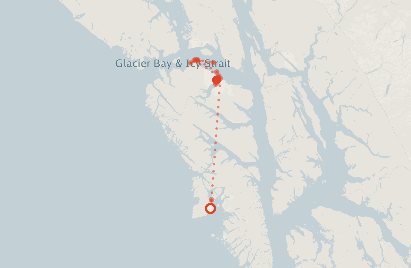 Activity map — real sighting points on an OpenStreetMap basemap