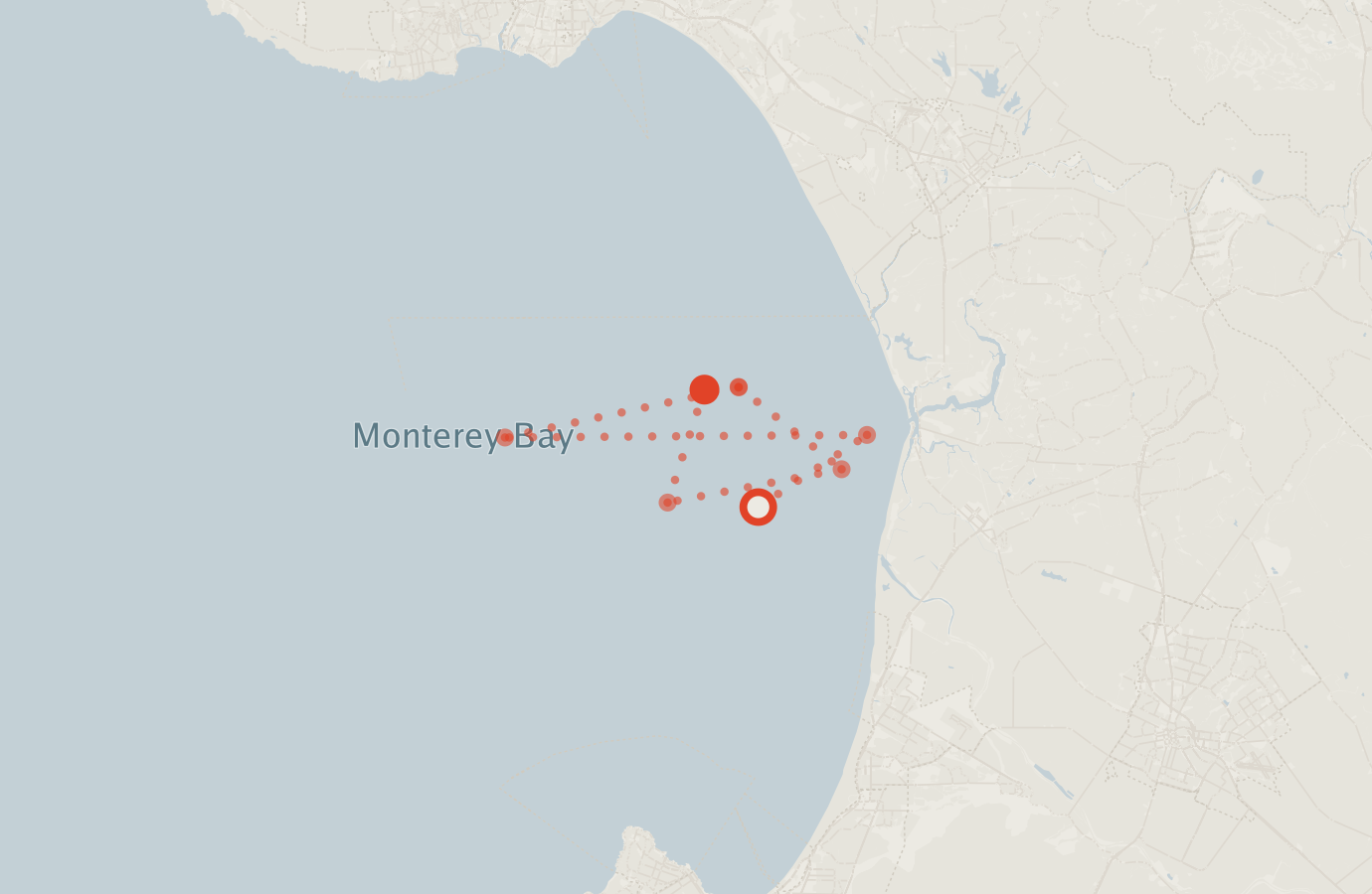 Activity map — real sighting points on an OpenStreetMap basemap