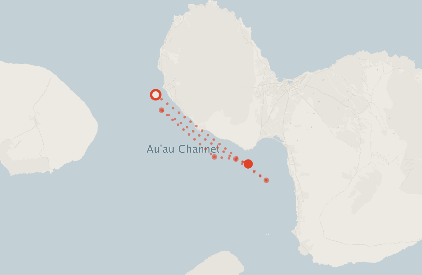 Activity map — real sighting points on an OpenStreetMap basemap