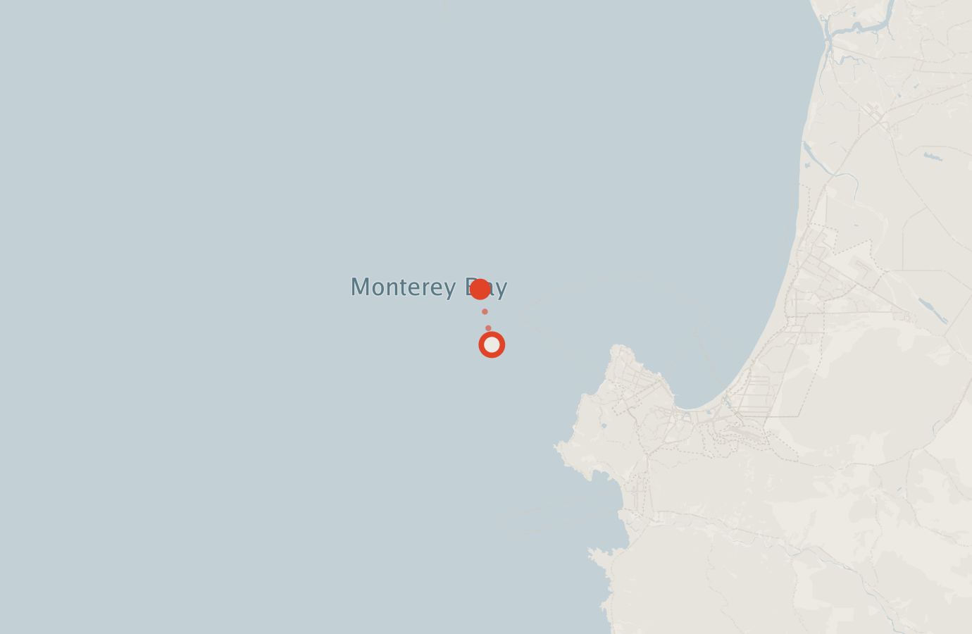 Activity map — real sighting points on an OpenStreetMap basemap
