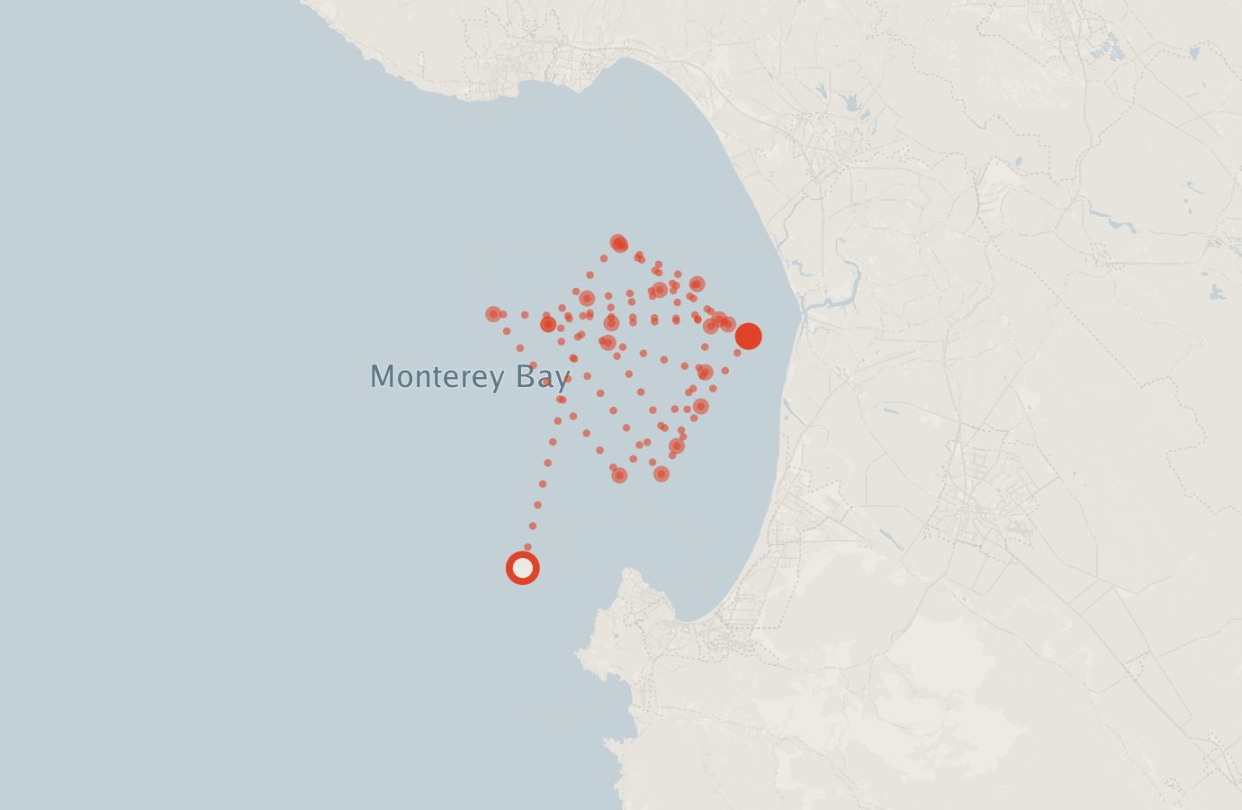 Activity map — real sighting points on an OpenStreetMap basemap